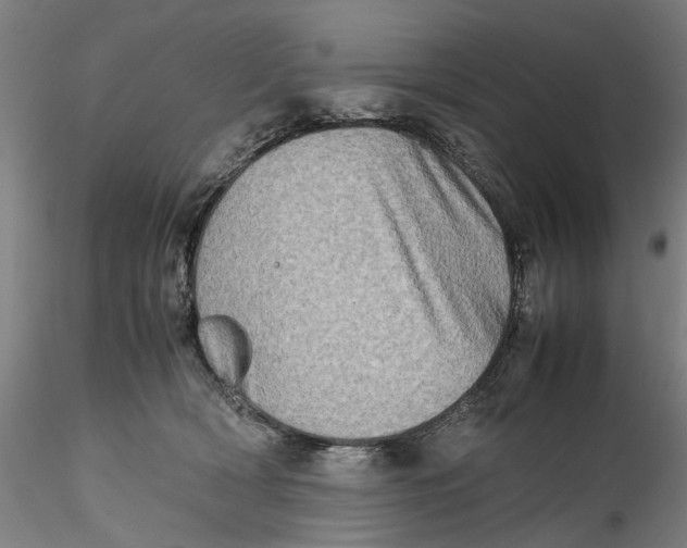 X0000115540418200911271415