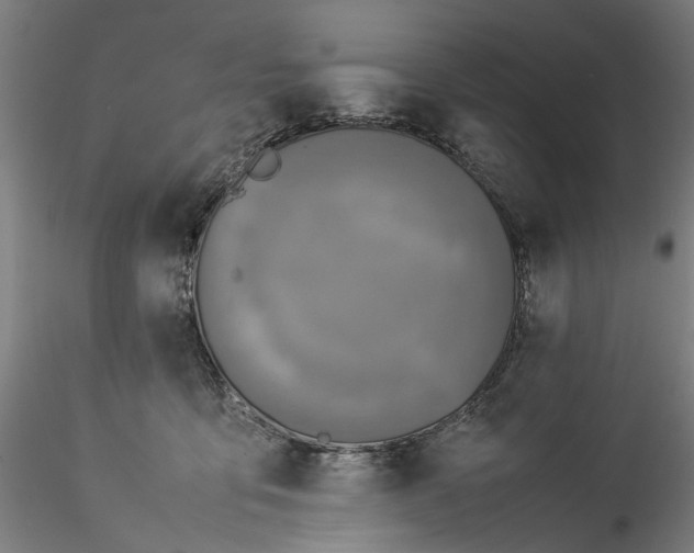 X0000115540419200911271415