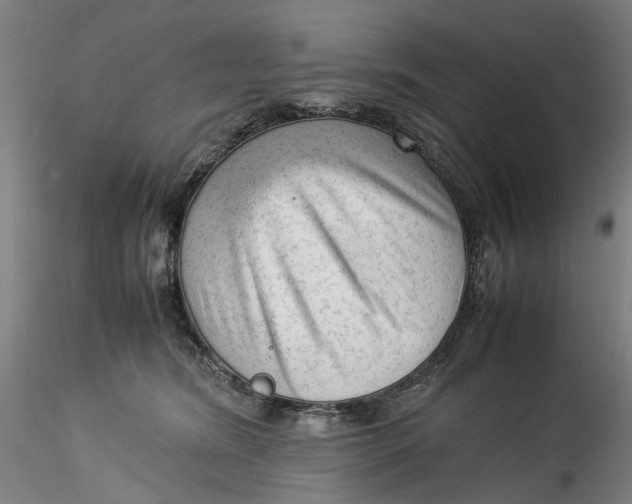 X0000115540420200911271415