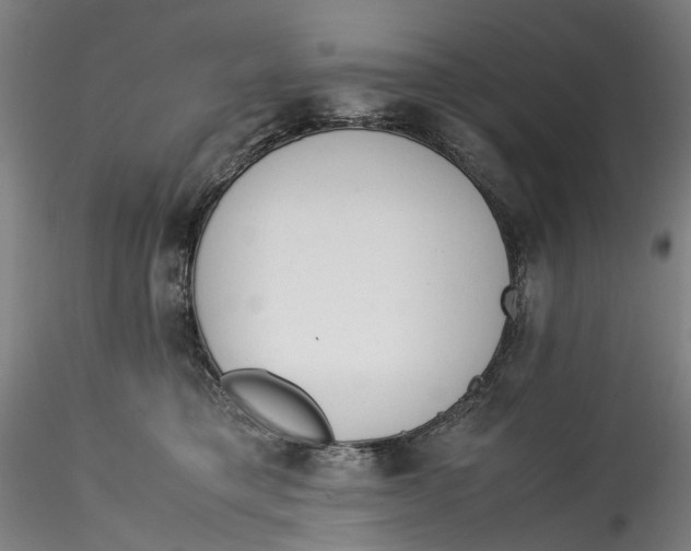 X0000115540421200911271415