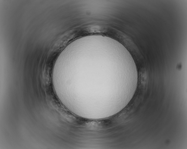 X0000115540422200911271415