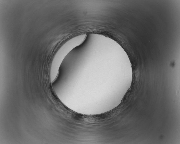 X0000115540423200911271415