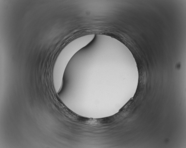 X0000115540425200911271415