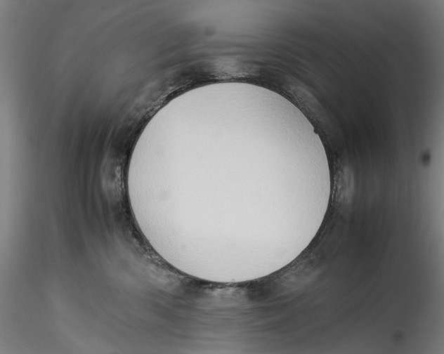 X0000115540426200911271415