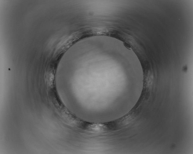 X0000115540427200911271415