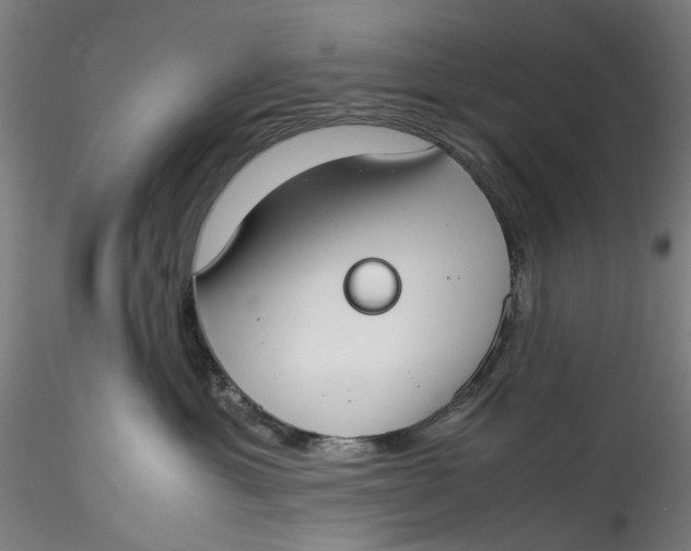 X0000115540429200911271415