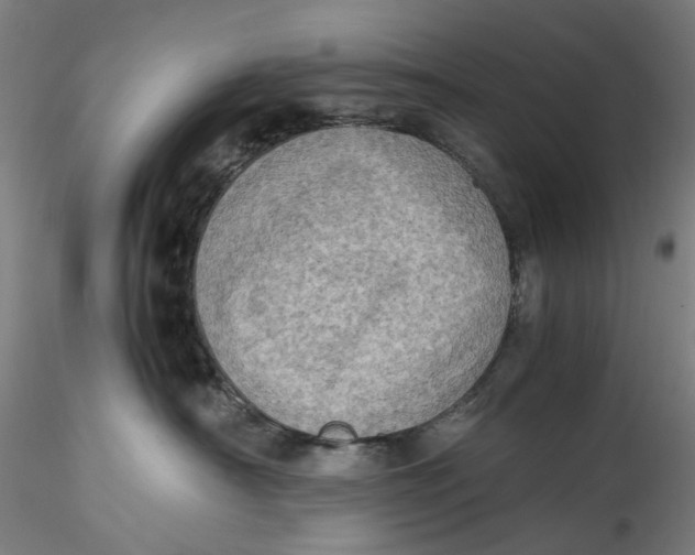 X0000115540430200911271415