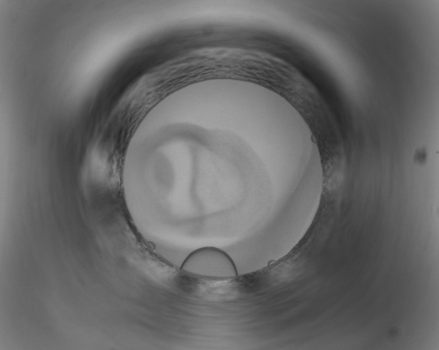 X0000115540431200911271415