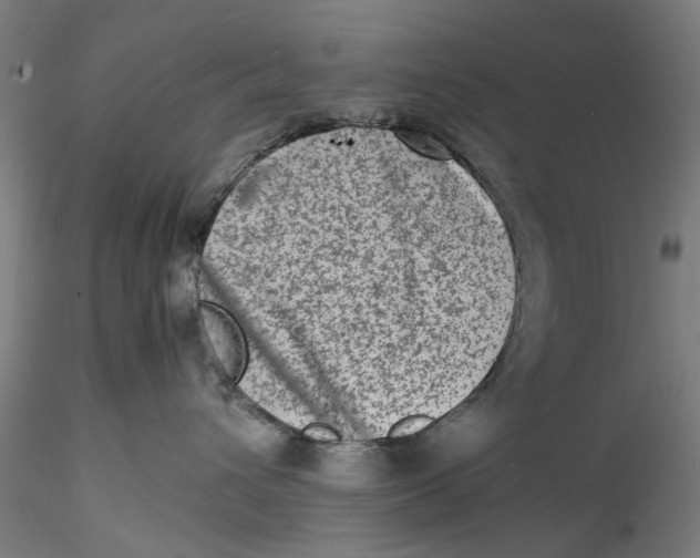 X0000115540432200911271415