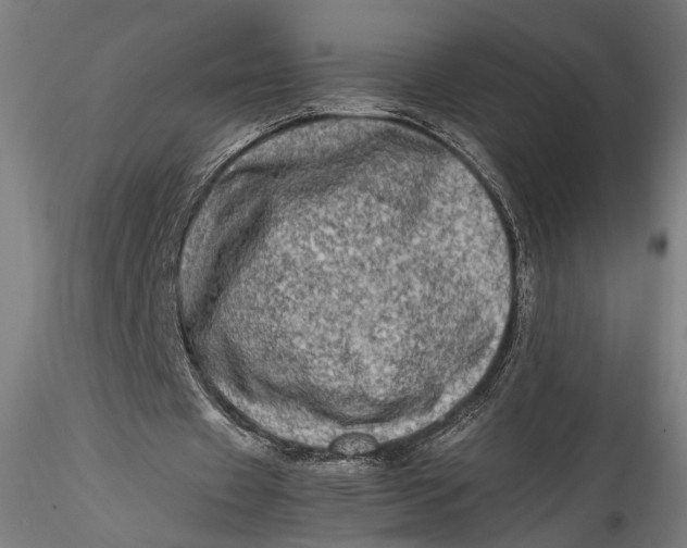 X0000115540433200911271414