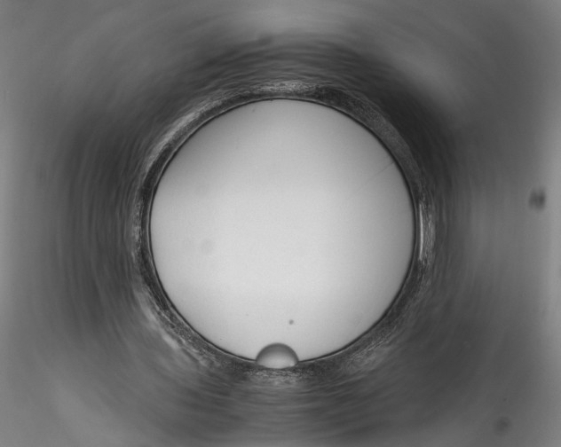 X0000115540435200911271414