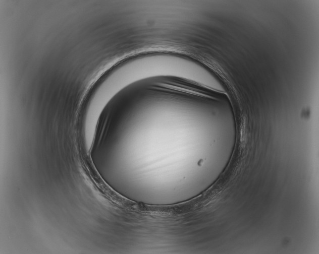 X0000115540436200911271414