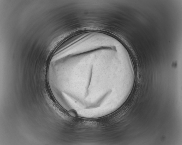 X0000115540437200911271414