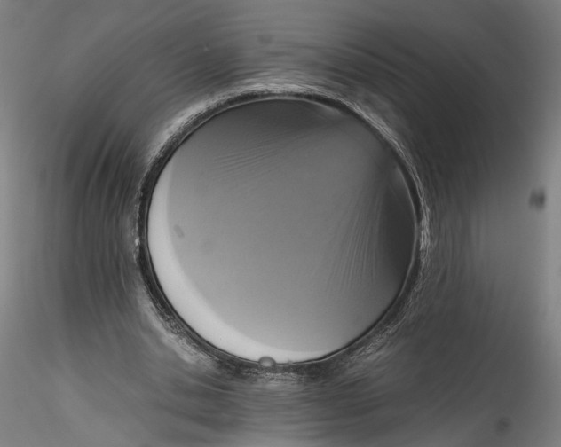 X0000115540438200911271414