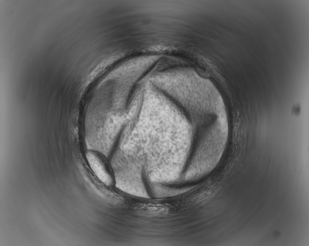 X0000115540443200911271414