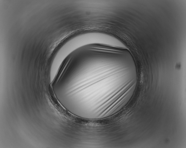 X0000115540444200911271414