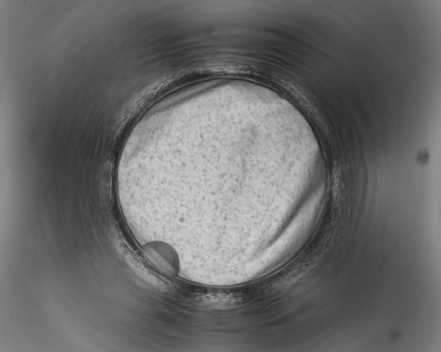 X0000115540445200911271414