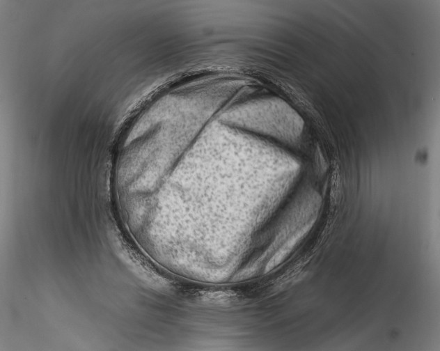 X0000115540446200911271414