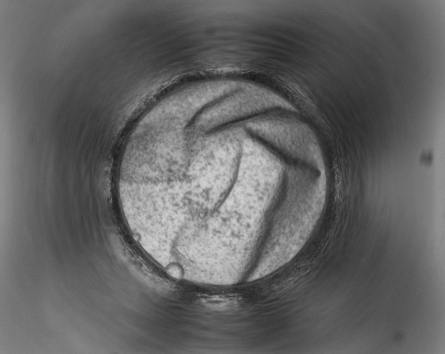 X0000115540447200911271414