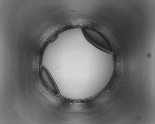 X0000115540448200911271414