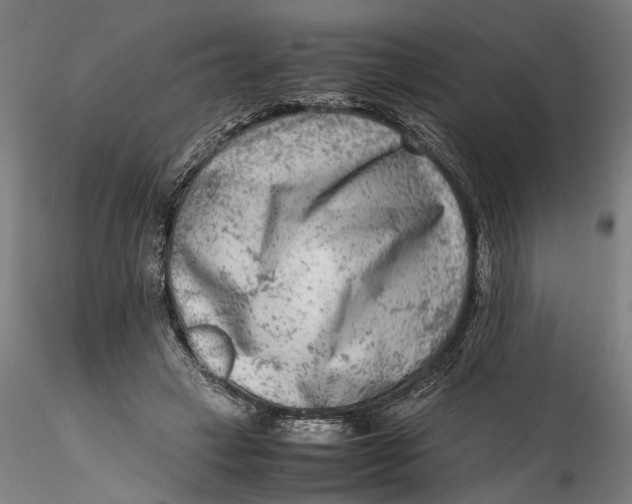 X0000115540449200911271414