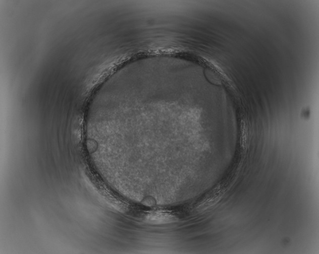 X0000115540451200911271414