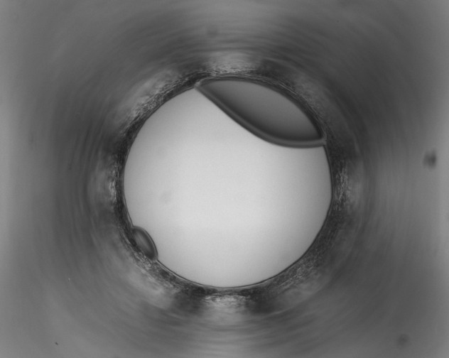 X0000115540452200911271414