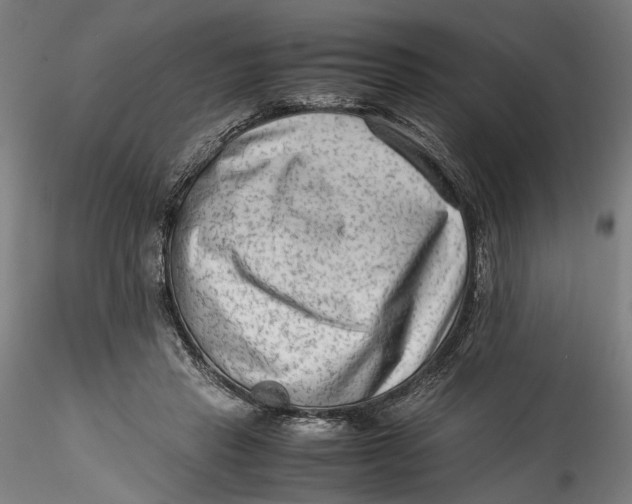 X0000115540453200911271414