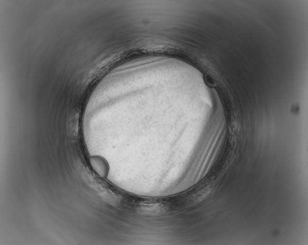 X0000115540454200911271414