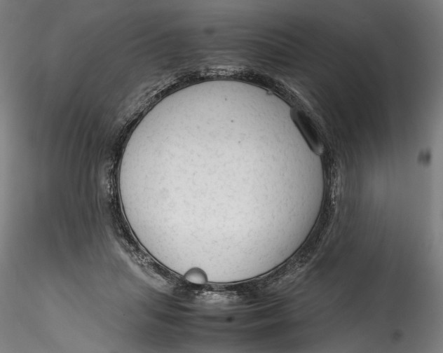 X0000115540455200911271414