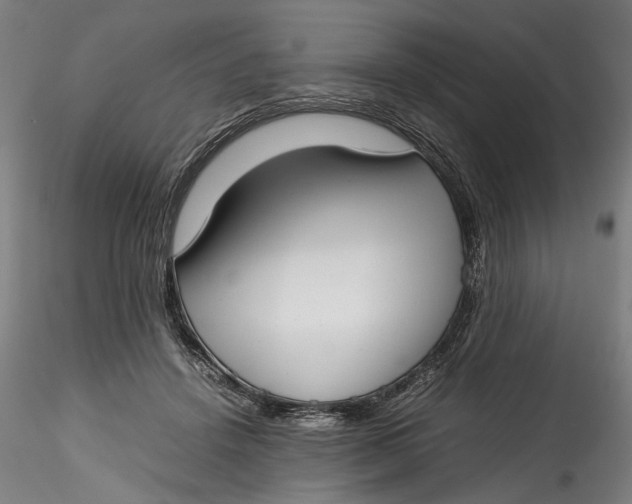 X0000115540456200911271414