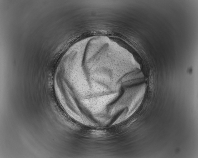 X0000115540457200911271414