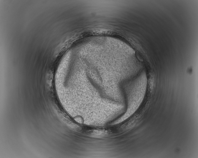 X0000115540458200911271414