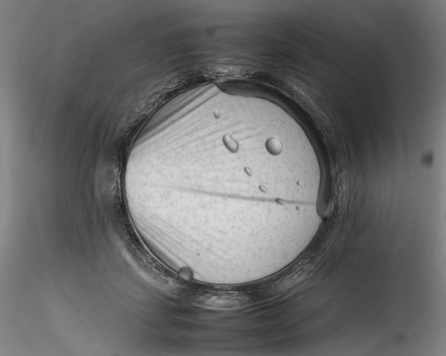 X0000115540459200911271414