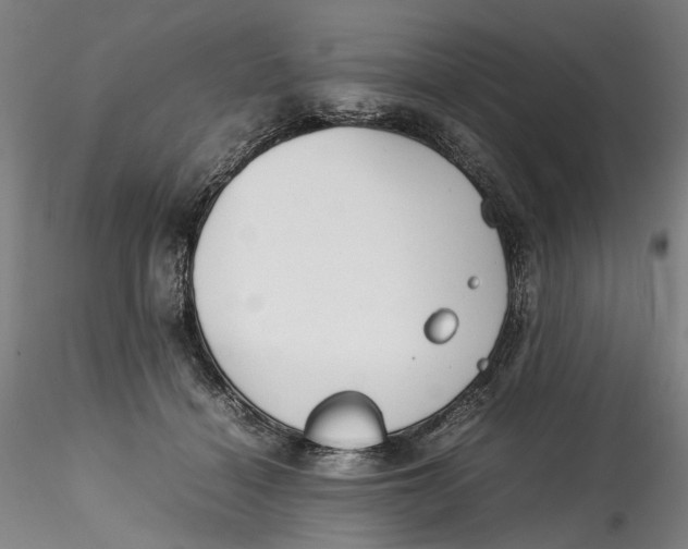 X0000115540460200911271414