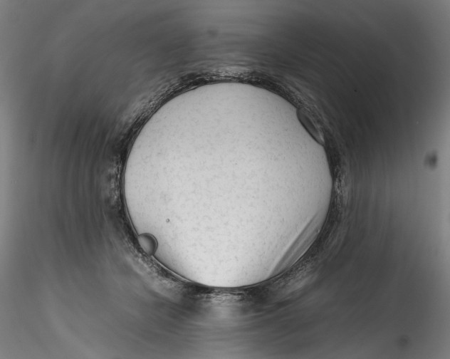 X0000115540462200911271414