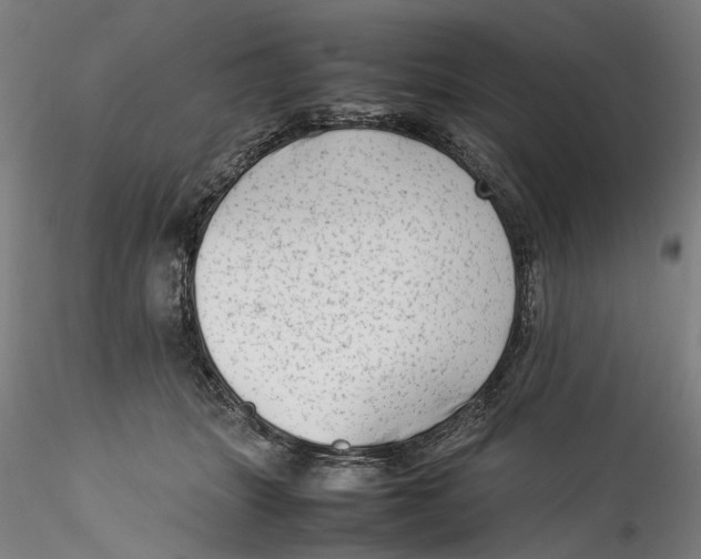 X0000115540463200911271414