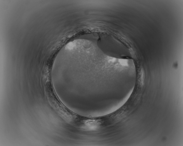 X0000115540465200911271414