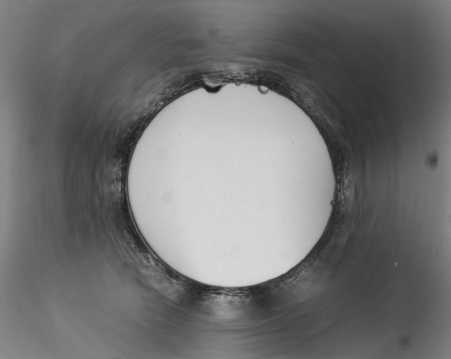 X0000115540466200911271414