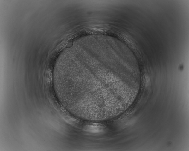 X0000115540467200911271414