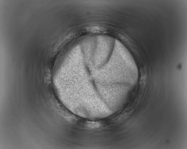 X0000115540469200911271414