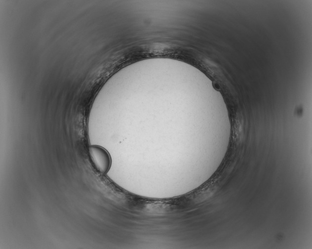 X0000115540470200911271414