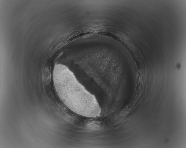 X0000115540471200911271414