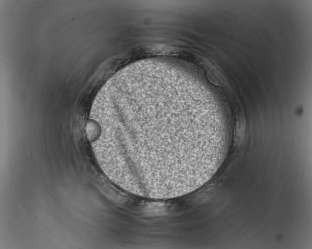 X0000115540473200911271414