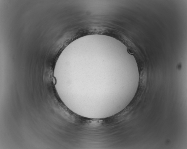 X0000115540474200911271415