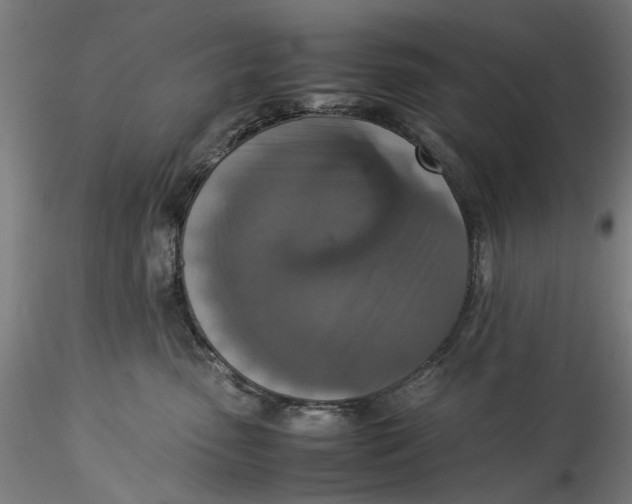 X0000115540475200911271415