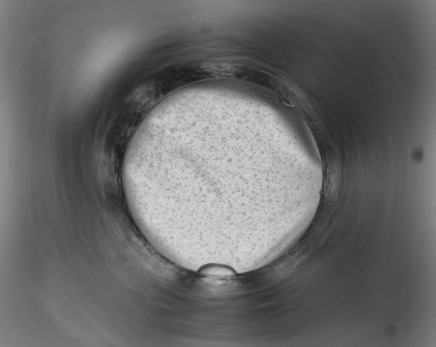 X0000115540477200911271415