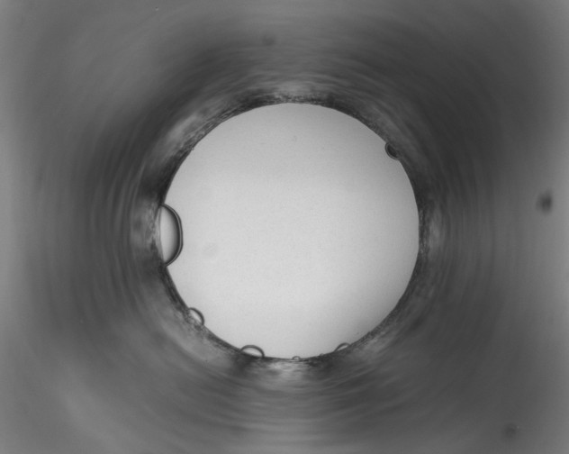 X0000115540478200911271415