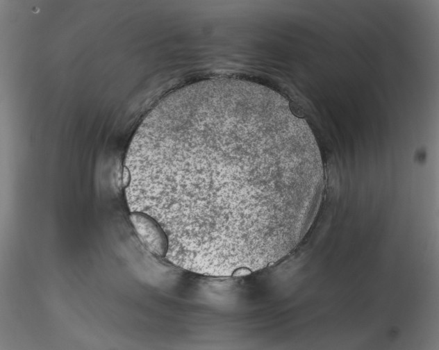 X0000115540479200911271415