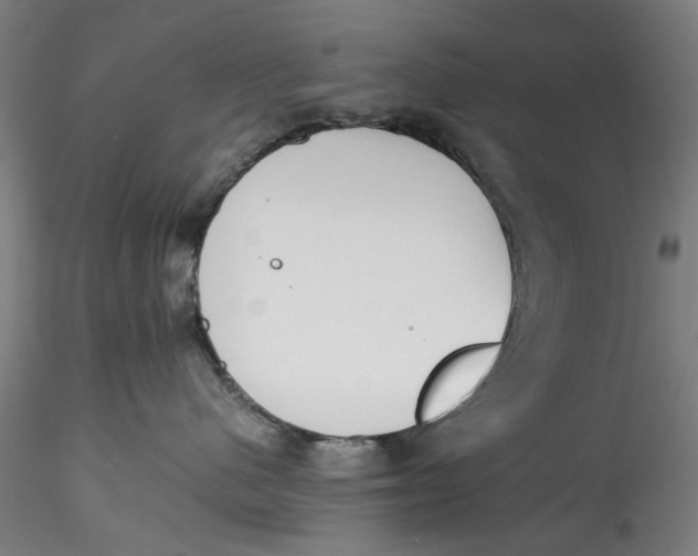 X0000115540480200911271415